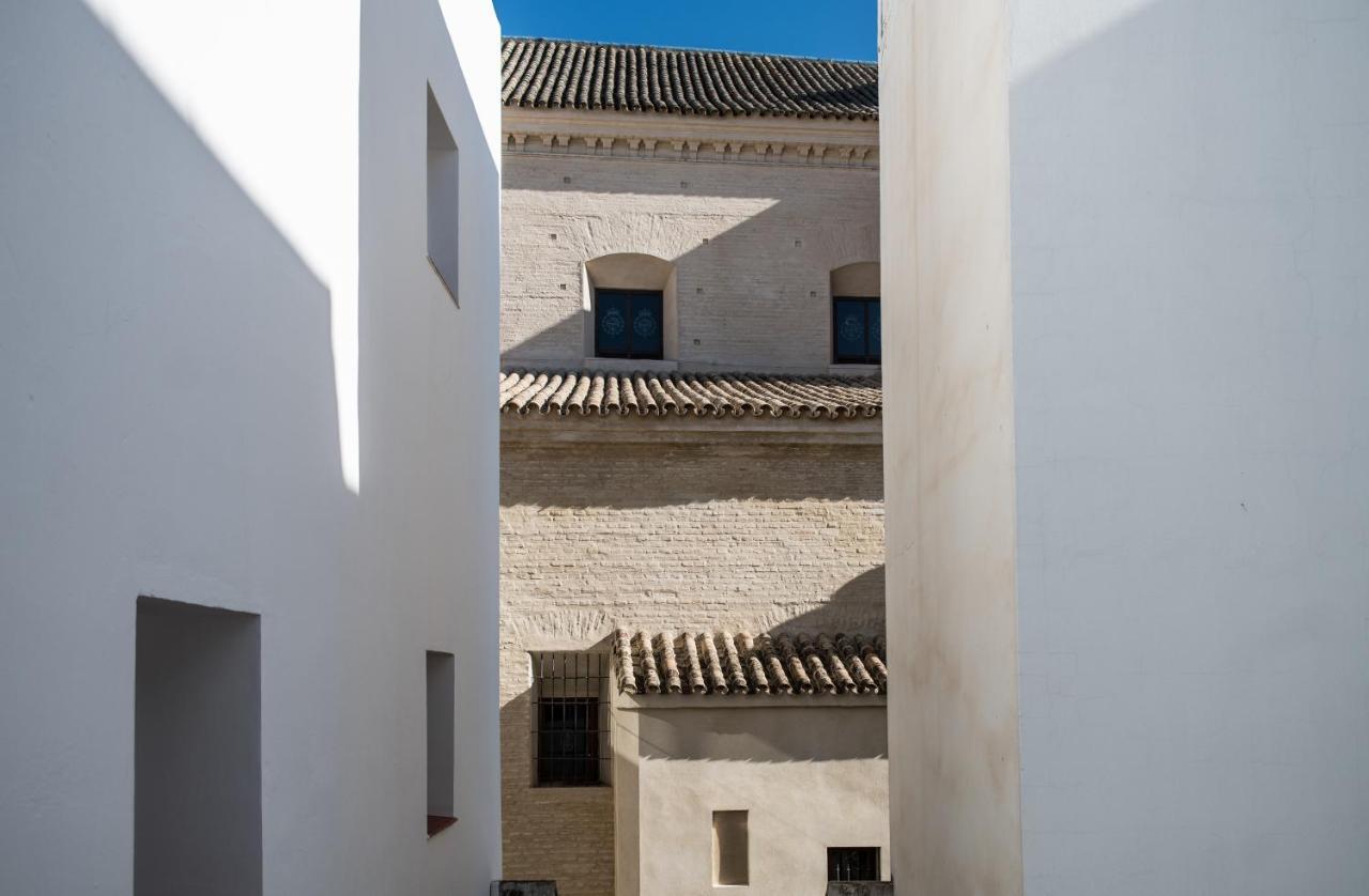 Le Petit Palue Sevilla — Photos 3
